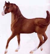 Breyer Arabian