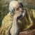 el greco saint peter