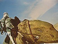 bonhamstarwarsdewback