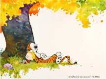 Calvin and Hobbes Original Artwork