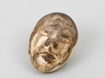 lucien freud egg