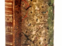 Hans Christian Andersen Fairy Tales