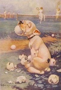 bonzo dog Fred The Ball Boy postcard
