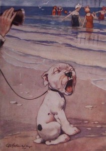 bonzo dog tired tim postcard