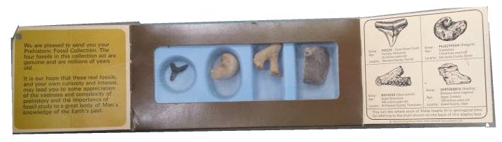 Chivers Jellies Prehistoric Fossil Collection inside