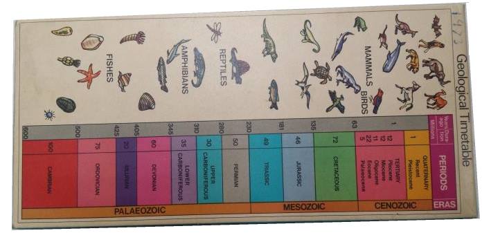 Chivers Jellies Prehistoric Fossil Collection reverse
