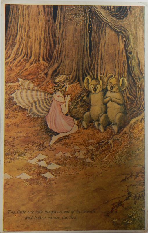 outhwaite fairies koalas