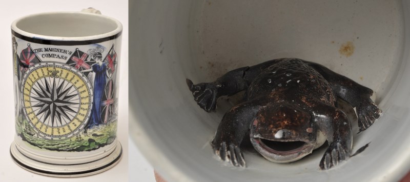 mariners compass north east related frog mug