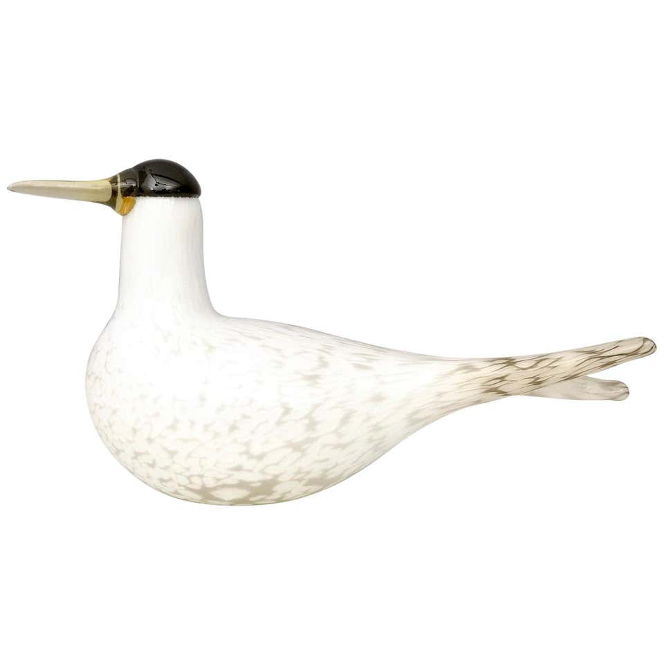 工芸品 birds oiva toikka species of tern Caspian tern - Species of Tern - Räyskä - Oiva Toikka Birds