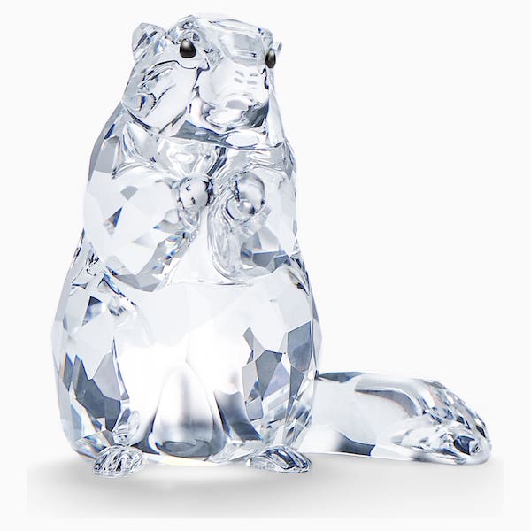 scs-marmot-event-2020