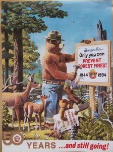 Smokey Bear 50th anniversary poster